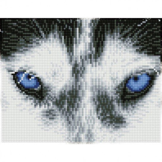 Deimantinė mozaika MYSTIC HUSKY 20,3x26