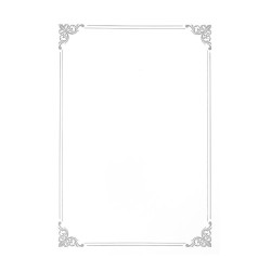 Dipl.popierius 190g Silver