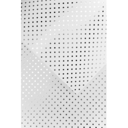 Kartonas KROPKI A4 190-210g 12vnt sidabrinis