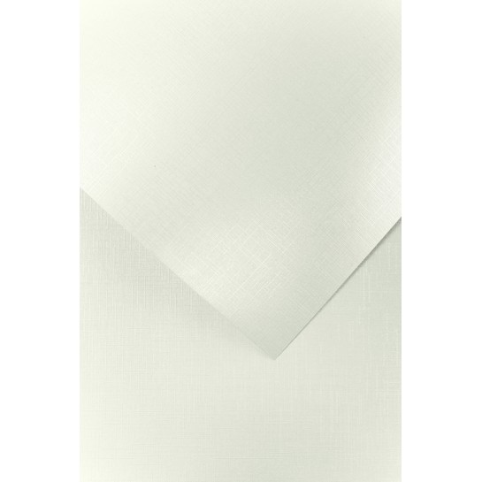 Tekstūr.kartonas HOLLAND baltas 230g 20lap