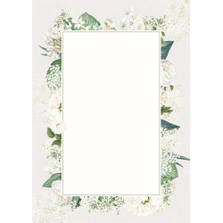 Dipl.popierius 170g BIANCO
