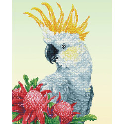 Deimantinė mozaika WHITE COCKATOO WARATHAS 41x51