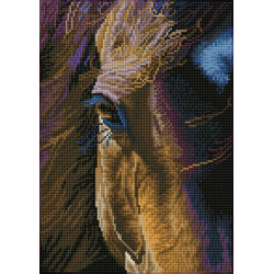 Deimantinė mozaika STAR 41X29