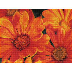 Deimantinė mozaika DELOSPERMA IN BLOOM 30x40