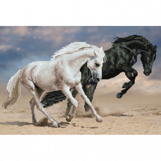 Deimantinė mozaika HORSE PLAY 42x62