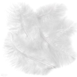 Plunksnos kalakuto 15cm 5vnt baltos
