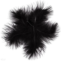 Plunksnos kalakuto 15cm 5vnt juodos