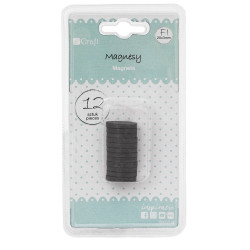 Magnetukai 20x3mm 12vnt