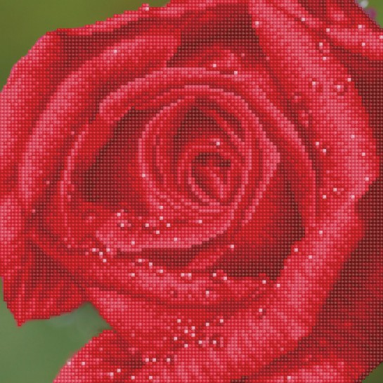 Deimantinė mozaika ROSE DEW WITH FRAME 30,50x30,50