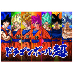 Dėlionė (puzzle) 300 DROGAN BALL SUPER 8-11metų Dėlionė (puzzle) 300 DROGAN BALL SUPER 8-11metų