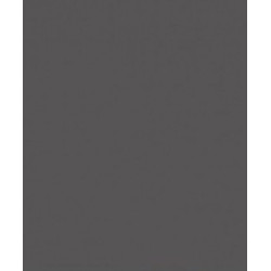 Spalvotas kartonas A1/160g grafitinis