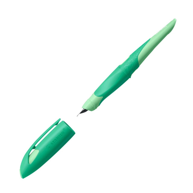 Plunksnakotis EASYbirdy 3D Wildlife R nib A green Plunksnakotis EASYbirdy 3D Wildlife R nib A green