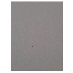 Kartonas LUXline 1mm 70x100cm 695g