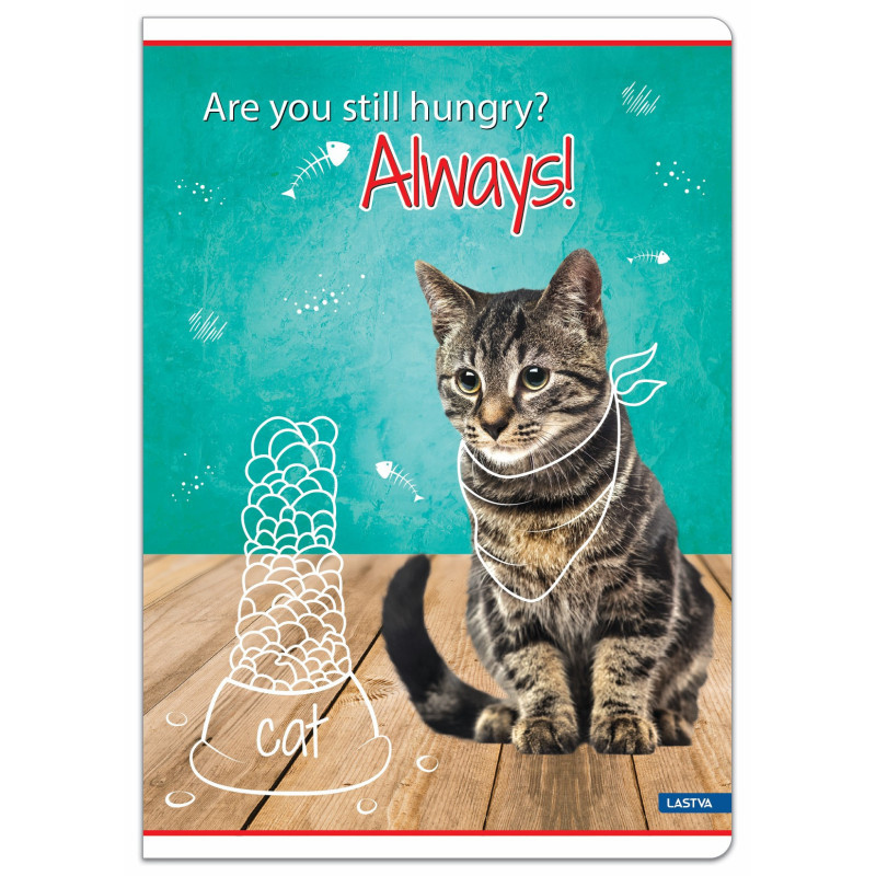 Sąsiuvinis(platus) A5 12lap 80g lang BE COOL