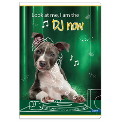 Sąsiuvinis(platus) A5 12lap 80g lin BE COOL