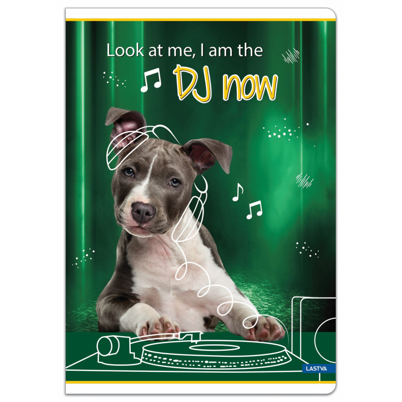 Sąsiuvinis(platus) A5 12lap 80g lin BE COOL