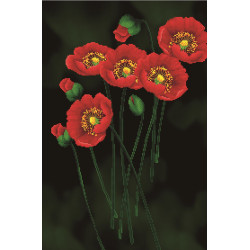 Siuvinėjimo kryželiu rinkinys RED POPPIES on BLACK 41x62