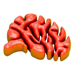 Mokomasis rinkinys SLIME LAB 8-13