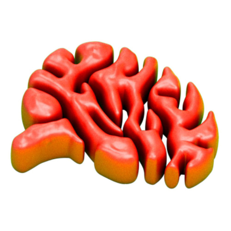 Mokomasis rinkinys SLIME LAB 8-13