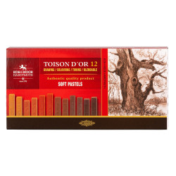 Sausų pastelių rinkinys 12vnt rudų atsp.8592B