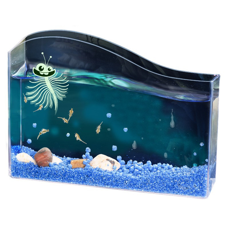 Smagus mokslas SALTWATER CREATURES 8-12 Smagus mokslas SALTWATER CREATURES 8-12