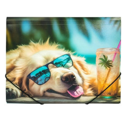 Aplankas su guma A4 CHILLOUT DOG