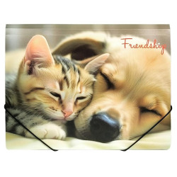 Aplankas su guma A4 FRIENDSHIP