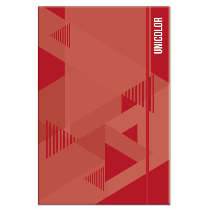 Aplankas UNICOLOR 320x230x40mm