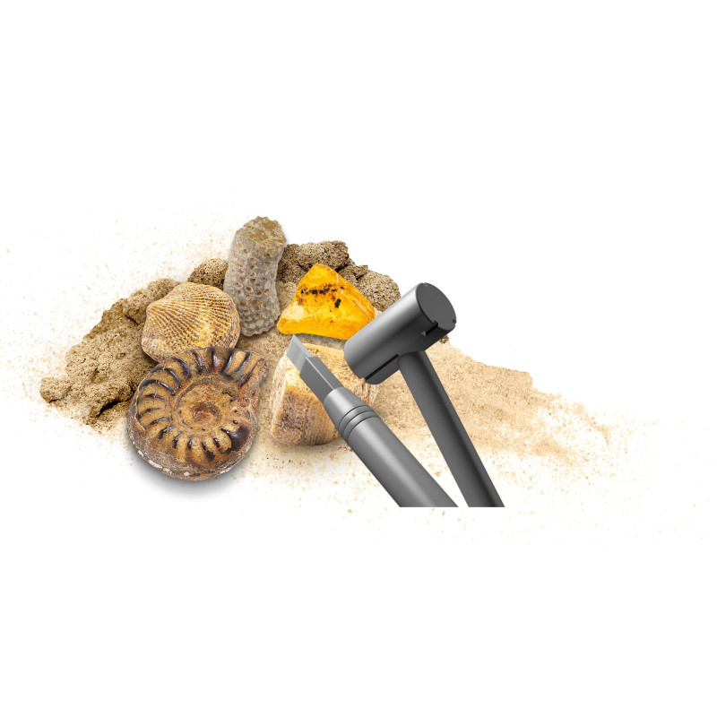 Lavinamasis rinkinys DIG OUT FOSSILS 7-11 Lavinamasis rinkinys DIG OUT FOSSILS 7-11