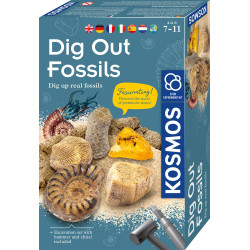 Lavinamasis rinkinys DIG OUT FOSSILS 7-11