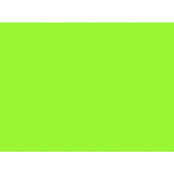 Spalvotas popierius 80g A4/100l Fluo žalias