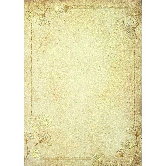 Popierius diplomams GINKGO A4 190g 20lap