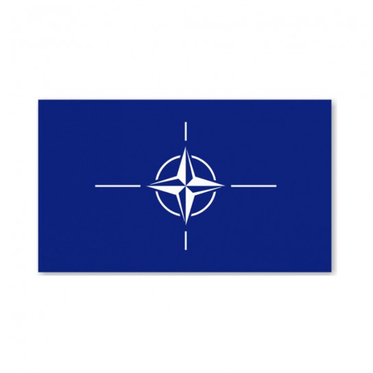 Nato vėliava (1x1,70cm)