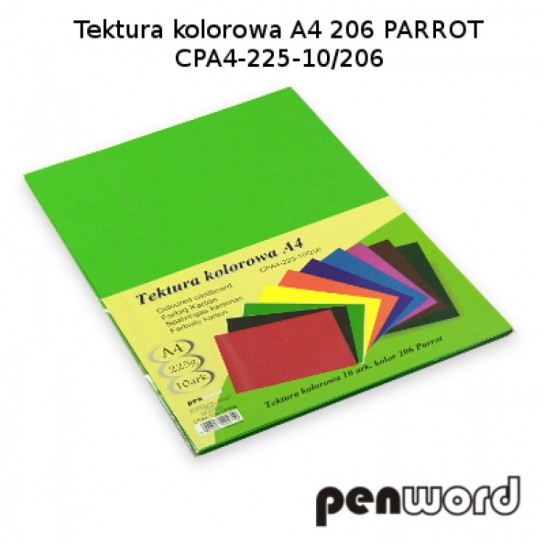 Kartonas A4/10l 225g PenWord žalias