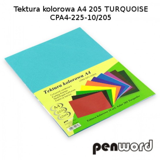 Kartonas A4/10l 225g PenWord šv.mėlynas