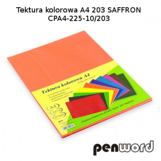 Kartonas A4/10l 225g PenWord oranžinis