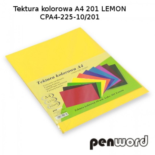 Kartonas A4/10l 225g PenWord geltonas