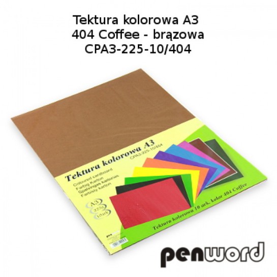 Kartonas A4/10l 225g PenWord rudas