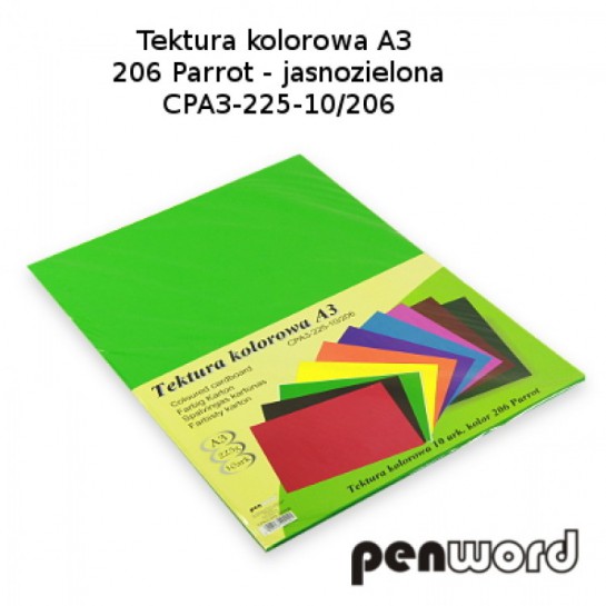 Kartonas A3/10l 225g žalias PenWord