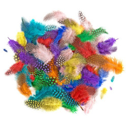 Plunksnos 4-7cm 10g ryškios mix sp