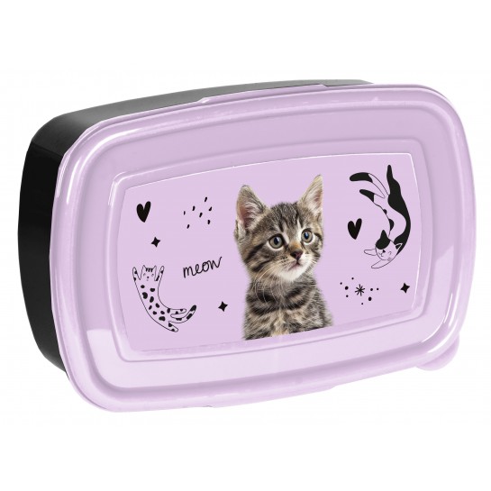 Dėžutė CAT PP25CE-3022 Dėžutė CAT PP25CE-3022