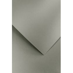 Dekoratyvinis popierius PEARL A4 šv sidabrinis 210g 20lap