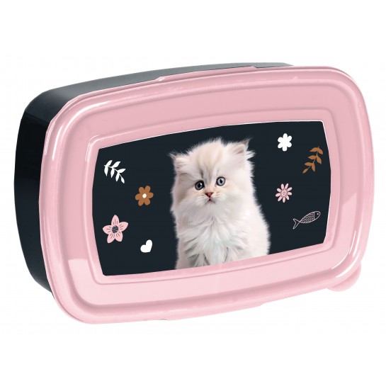 Dėžutė CAT PP25CO-3022