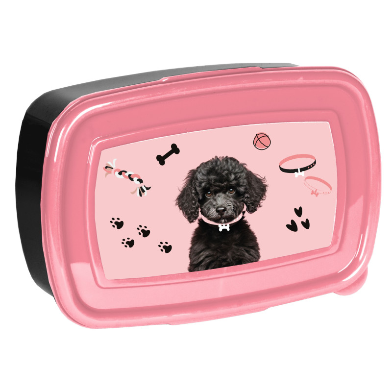 Dėžutė DOG PP25DB-3022