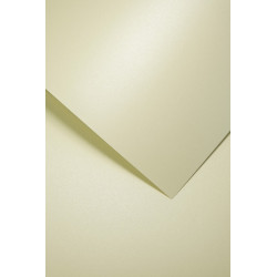 Tekstūr.kartonas MILLENIUM kreminis 220g 20lap