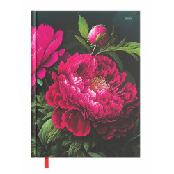 Mokslo knyga 14x19cm CARMEN