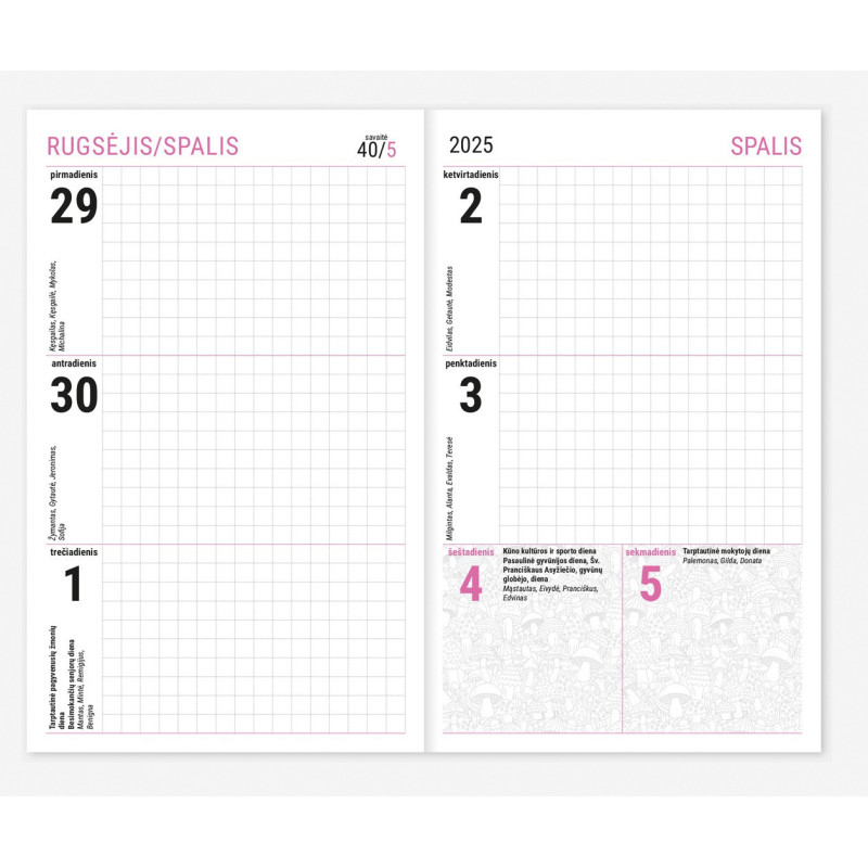 Stilingas jaunuolio kalendorius NEBULA