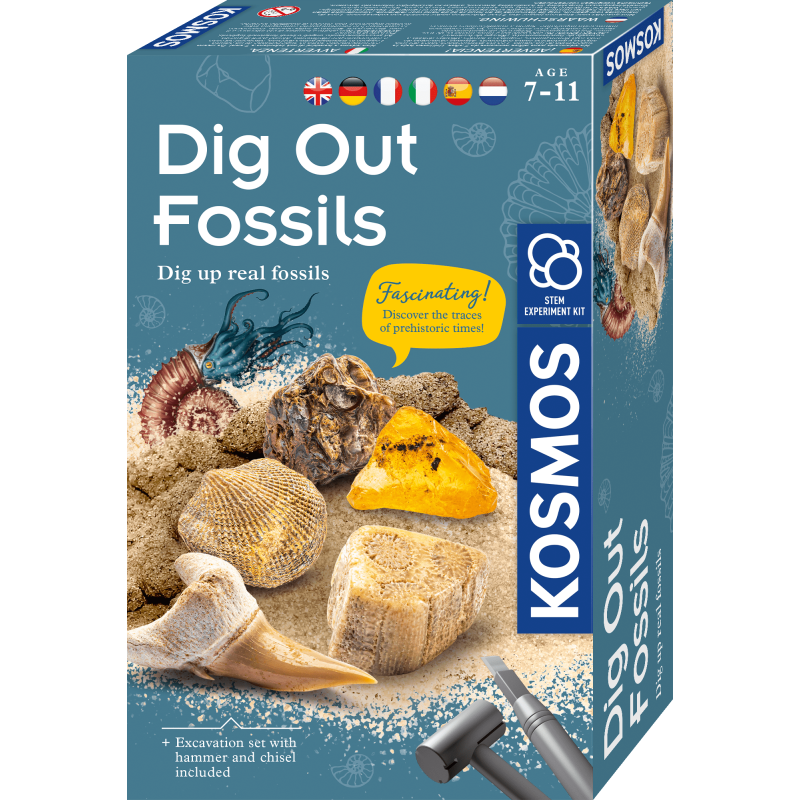Lavinamasis rinkinys DIG OUT FOSSILS 7-10  LT,LV,EE