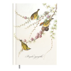 Darbo knyga A5 DAY little birds