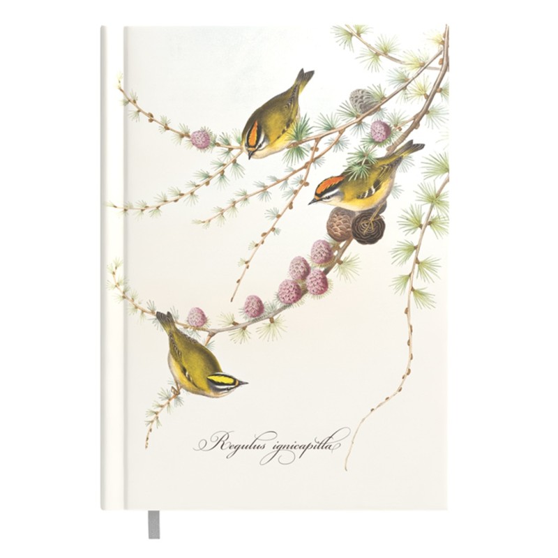 Darbo knyga A5 DAY little birds